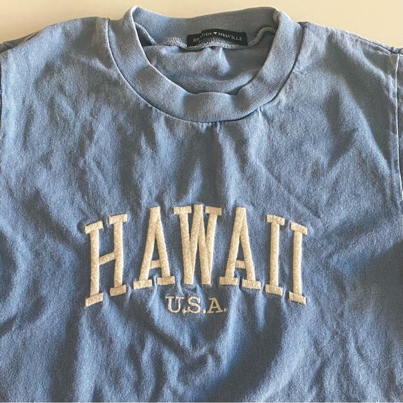 Brandy Melville Helen Hawaii USA Cropped Tee - Picture 3 of 9